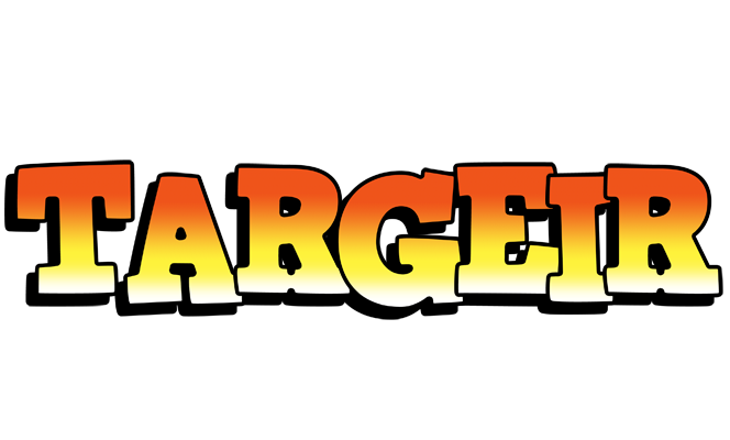 Targeir sunset logo