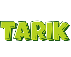 Tarik summer logo