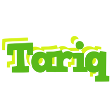 Tariq picnic logo