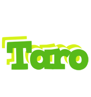 Taro picnic logo