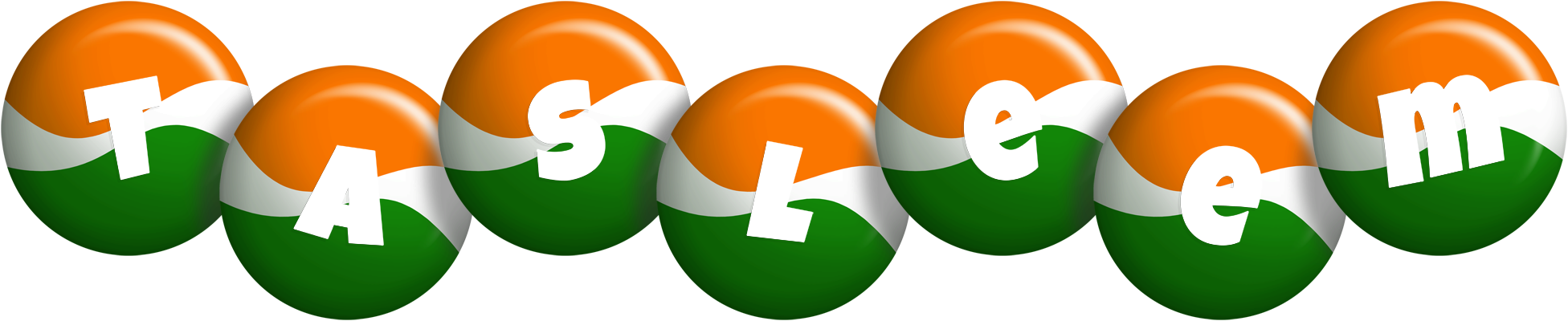 Tasleem india logo