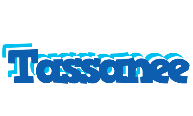 Tassanee business logo