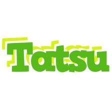 Tatsu picnic logo