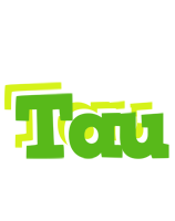 Tau picnic logo