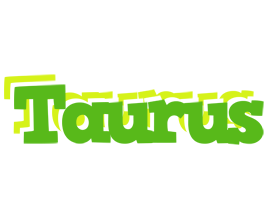 Taurus picnic logo