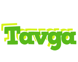 Tavga picnic logo