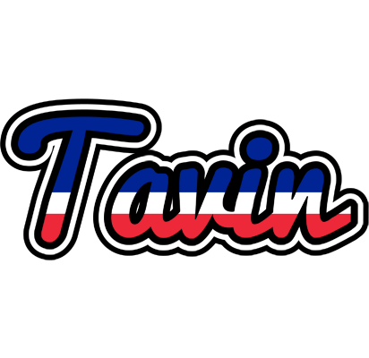 Tavin france logo