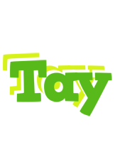 Tay picnic logo