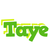 Taye picnic logo