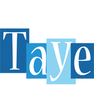 Taye winter logo