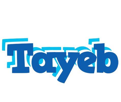 Tayeb business logo