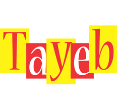 Tayeb errors logo