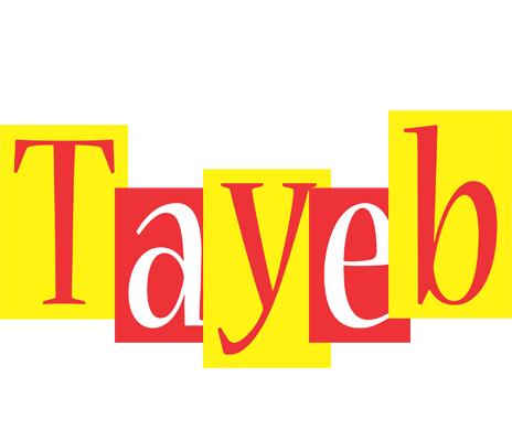 Tayeb errors logo
