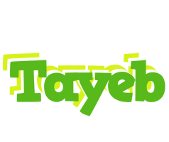 Tayeb picnic logo