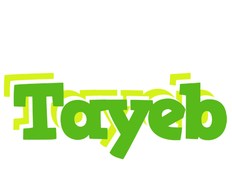 Tayeb picnic logo