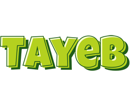 Tayeb summer logo