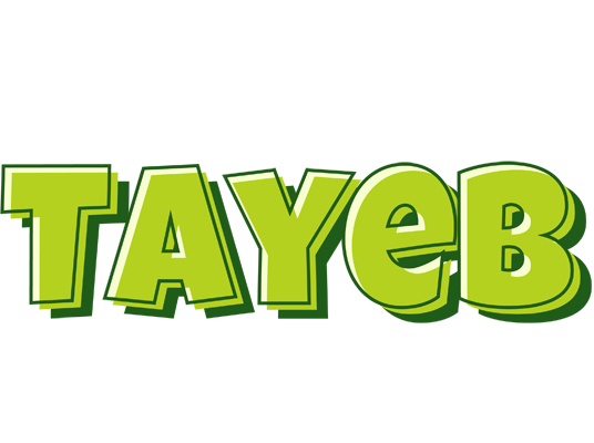 Tayeb summer logo