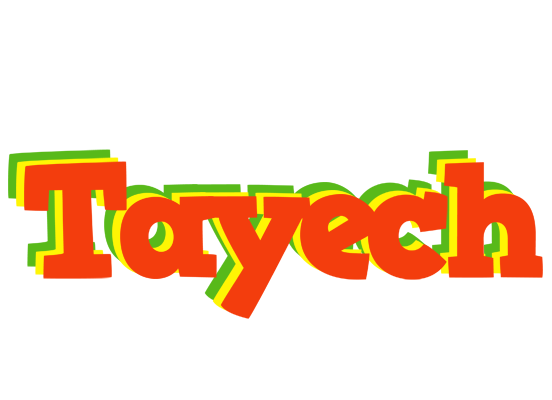 Tayech bbq logo