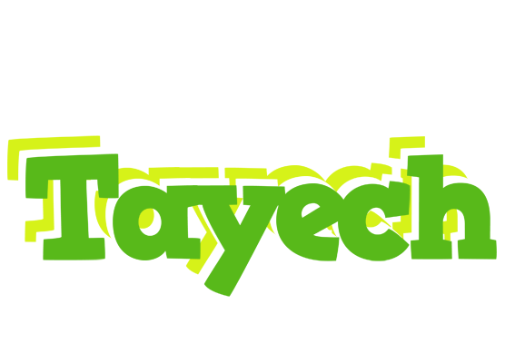 Tayech picnic logo