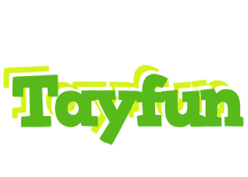 Tayfun picnic logo