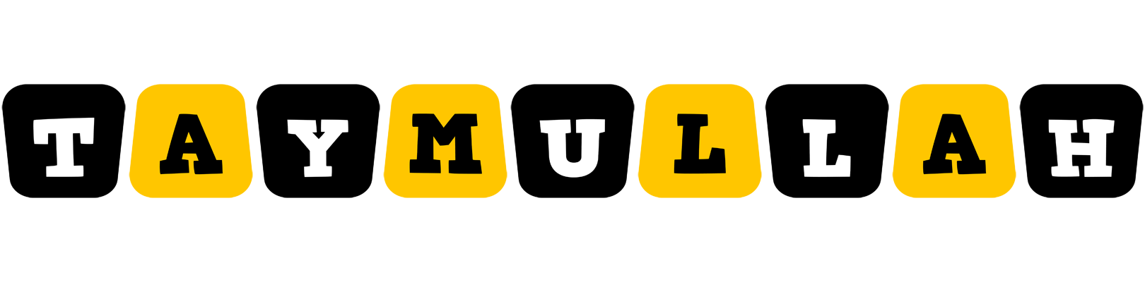 Taymullah boots logo