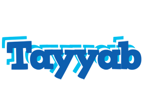 Tayyab business logo
