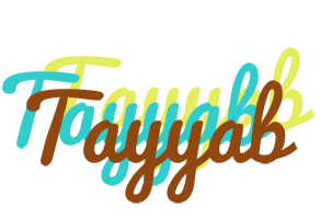 Tayyab cupcake logo
