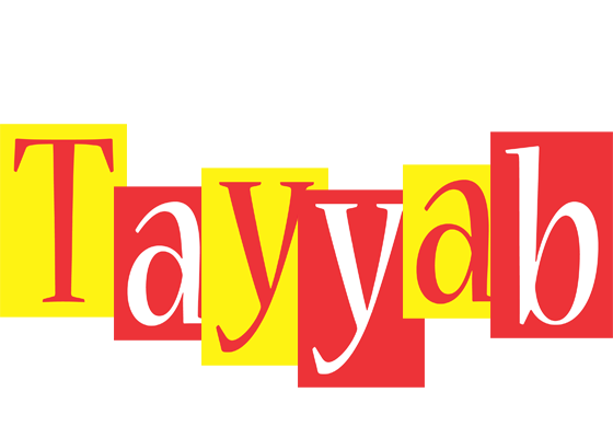 Tayyab errors logo