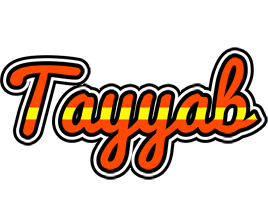 Tayyab madrid logo