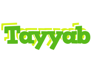 Tayyab picnic logo