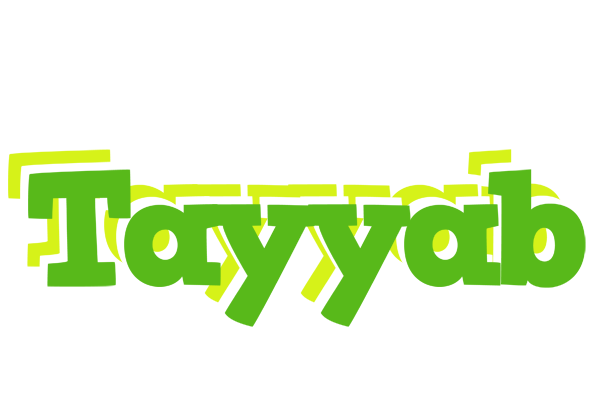 Tayyab picnic logo