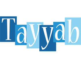 Tayyab winter logo