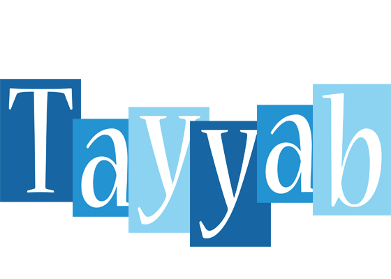 Tayyab winter logo
