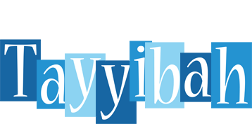 Tayyibah winter logo