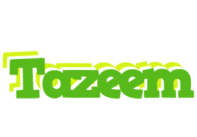 Tazeem picnic logo