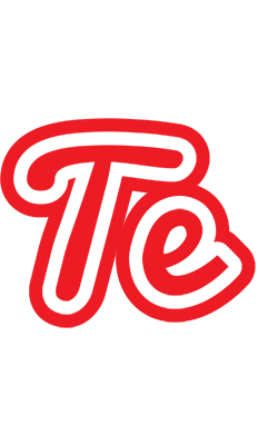 Te sunshine logo