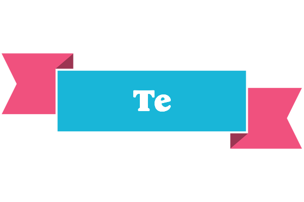 Te today logo