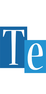 Te winter logo