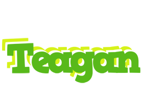 Teagan picnic logo