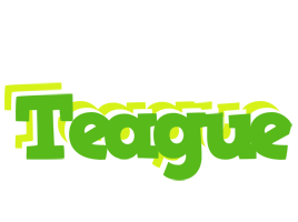 Teague picnic logo