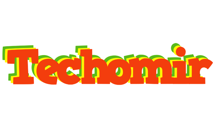 Techomir bbq logo