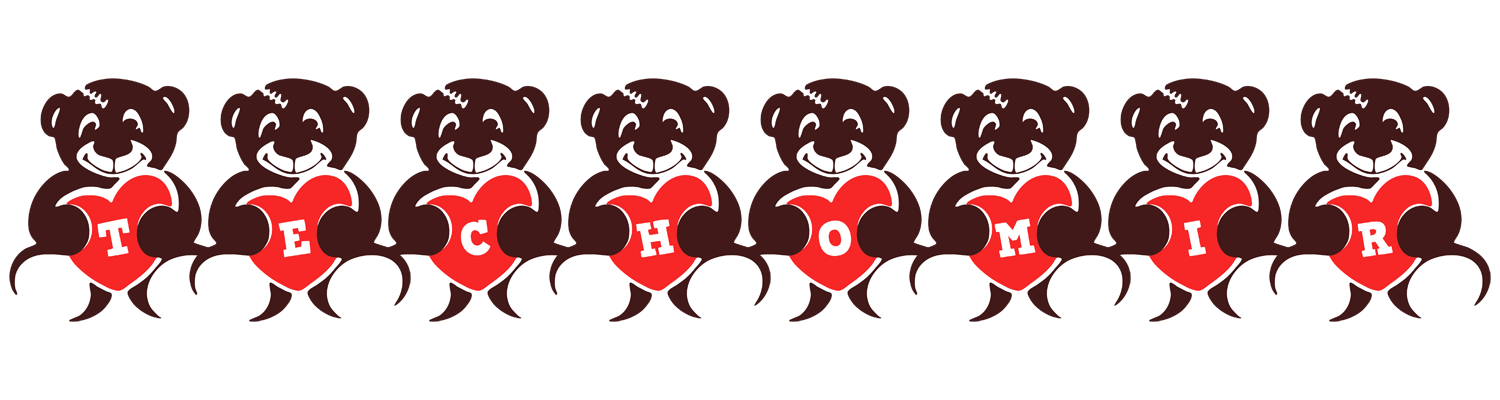 Techomir bear logo