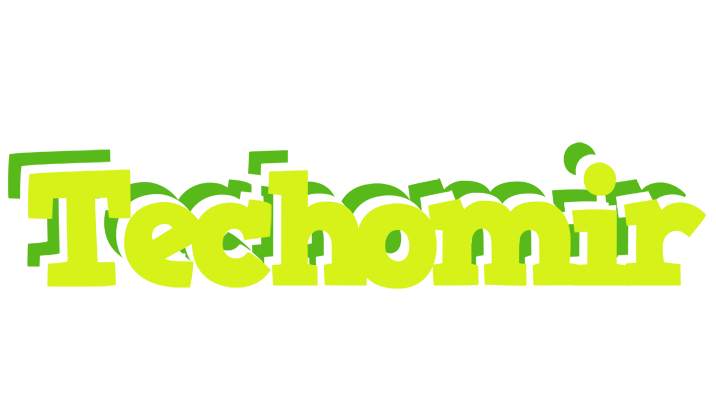 Techomir citrus logo