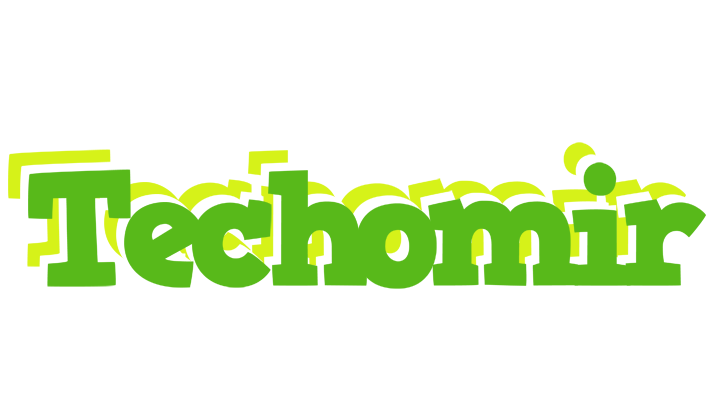 Techomir picnic logo