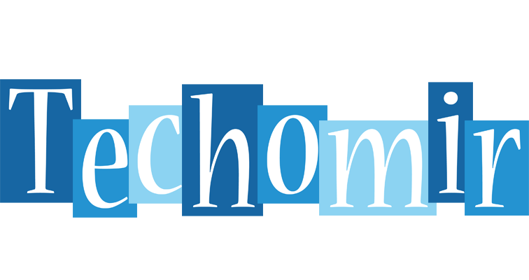 Techomir winter logo