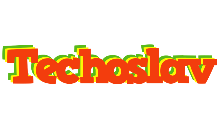 Techoslav bbq logo