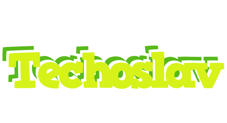 Techoslav citrus logo