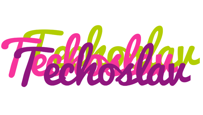 Techoslav flowers logo