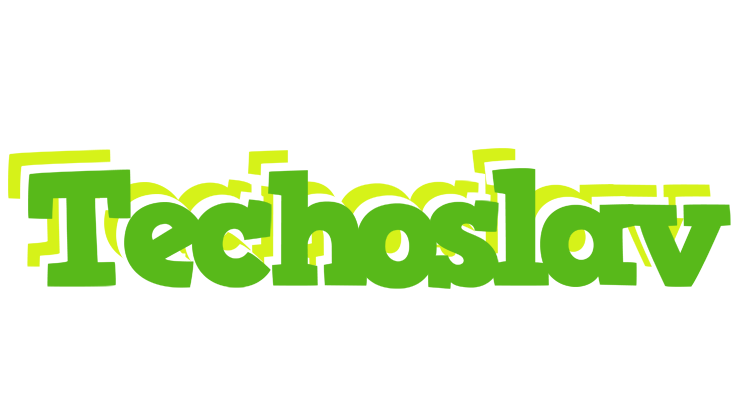 Techoslav picnic logo