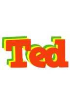 Ted bbq logo